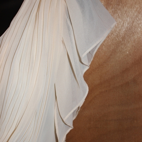 Ecolour Ciffon Pleated Dress - Picture 6 of 9